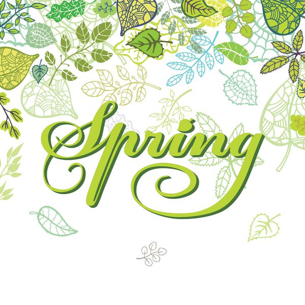 وکتور ترکیب بهار برگ های رنگارنگشاخه هاکلمه پس زمینه فصلیقالب طراحی توضیحات Spring استفاده برای قالب طراحیدعوتنامهصفحه وب وکتور