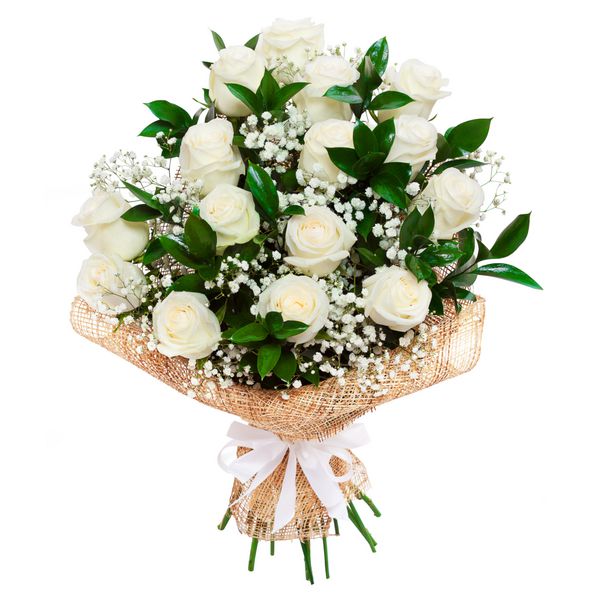 دسته گل رز سفید زیبا جدا شده روی سفید یک هدیه عالی برای یک زن برای سالگرد تولد روز یا عروسی