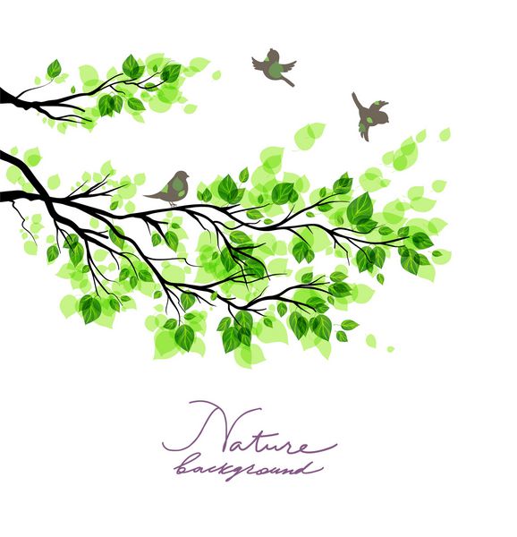 پرندگان با شاخه های سبز پس زمینه تابستان یا بهار طبیعت با pl برای متن