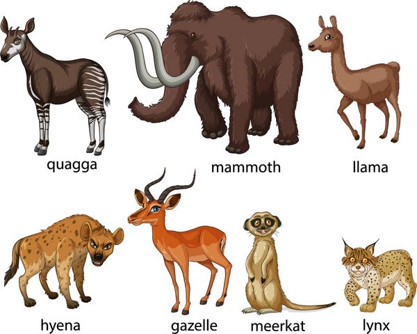 تصویری از انواع بسیاری از حیوانات
