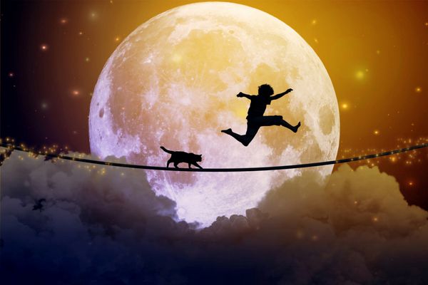 پسر نوجوان و گربه شاد در حال پریدن روی طناب محکم بالای ابرها با پس زمینه ماه نورانی مفهوم شادی دوستی مراقبت رایگان عناصر این تصویر ارائه شده توسط ناسا