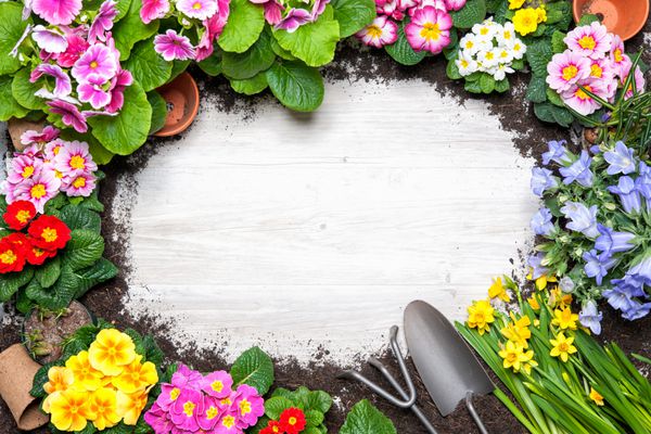قاب گل بهاری و ابزار باغبانی در زمینه چوبی قدیمی