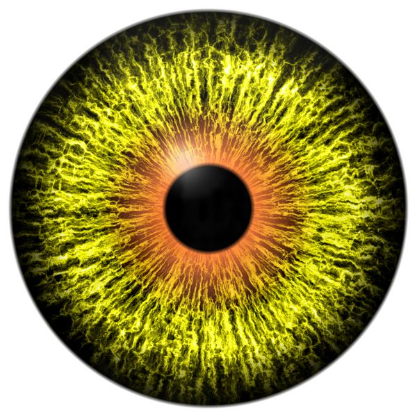 چشم بیگانه زرد با حلقه نارنجی در اطراف مردمک