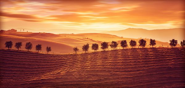 منظره زیبای حومه شهر غروب شگفت انگیز نارنجی خورشید بر فراز تپه های خاکی طلایی زیبایی طبیعت فصل کشاورزی و کشاورزی توسکانی ایتالیا