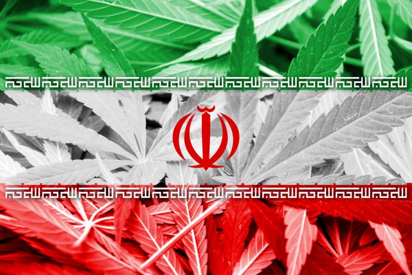 پرچم ایران در زمینه شاهدانه سیاست مواد مخدر قانونی شدن ماری جوانا