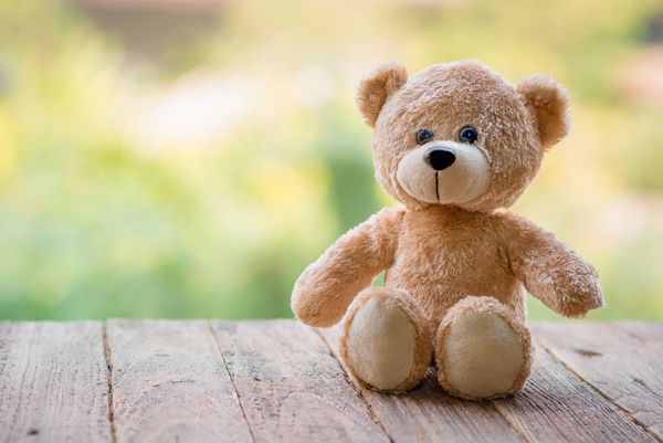 اسباب بازی خرس عروسکی به تنهایی روی چوب