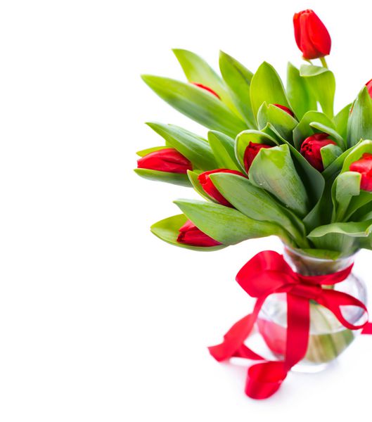 دسته گل لاله بهاری در یک گلدان روی سفید دسته گل لاله روز مادر یا عید پاک با روبان ساتن قرمز تزئین شده است طرح حاشیه گل جدا شده بر روی پس زمینه سفید