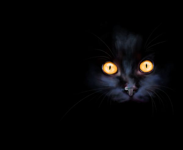 گربه سیاه در زمینه سیاه نقاشی آبرنگ