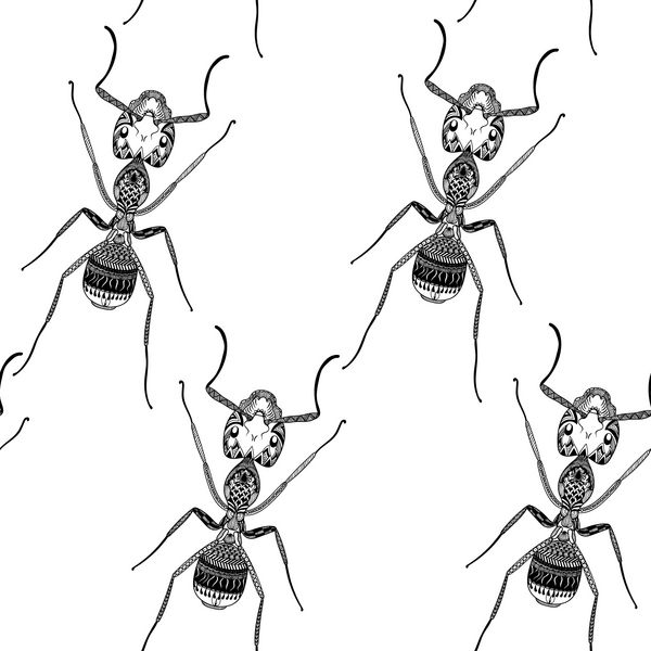 الگوی بدون درز مورچه سیاه تلطیف شده zentangle وکتور موریانه با دست کشیده شده است طرح برای یا ماخندا مجموعه حشرات