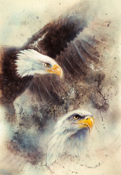 نقاشی ایربراش زیبا از دو عقاب در پس زمینه انتزاعی یکی بال های سیاه خود را برای پرواز دراز می کند در پس زمینه انتزاعی