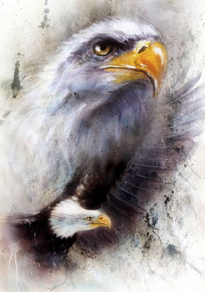 نقاشی زیبا از دو عقاب در پس زمینه بافت انتزاعی