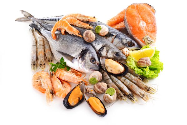 ماهی تازه و سایر غذاهای دریایی جدا شده روی سفید