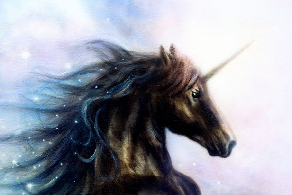 اسب تکشاخ سیاه در sp تصویر زمینه رنگی انتزاعی پرتره پروفایل