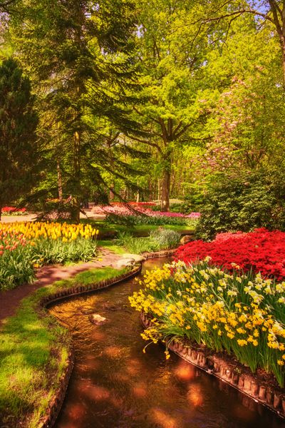 باغ در کوکنهوف گل های لاله و درختان در پس زمینه در بهار هلند اروپا