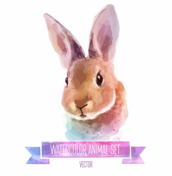 مجموعه وکتور حیوانات تصویر آبرنگ نقاشی شده با دست خرگوش در پس زمینه سفید