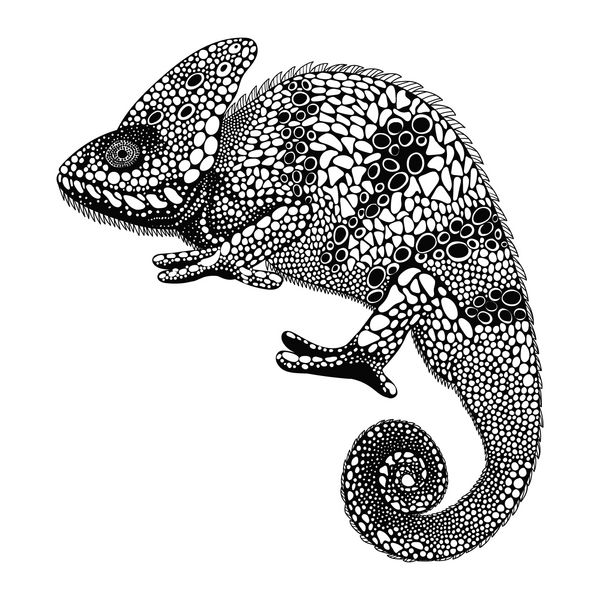 مارمولک آفتاب پرست تلطیف شده با زنتاگل وکتور خزنده با دست کشیده به سبک ابله طرح برای یا ماخندا مجموعه حیوانات