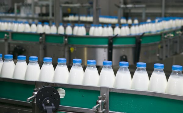 کارخانه لبنیات نوار نقاله با بطری های شیر