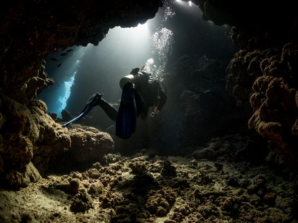 غواص در حال عبور از غار زیر آب صخره‌های دریایی خشمگین جنوب مصر