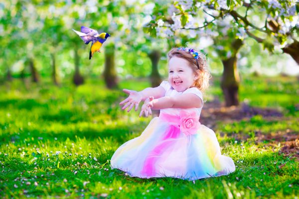 کودک با یک پرنده دختر کوچولوی شاد و خندان با لباس پری با بالهایی که به طوطی خانگی در باغ درخت گیلاس غذا می دهند کودکی که در بهار در باغ میوه های شکوفه دار سرگرم می شود باغبانی بچه ها