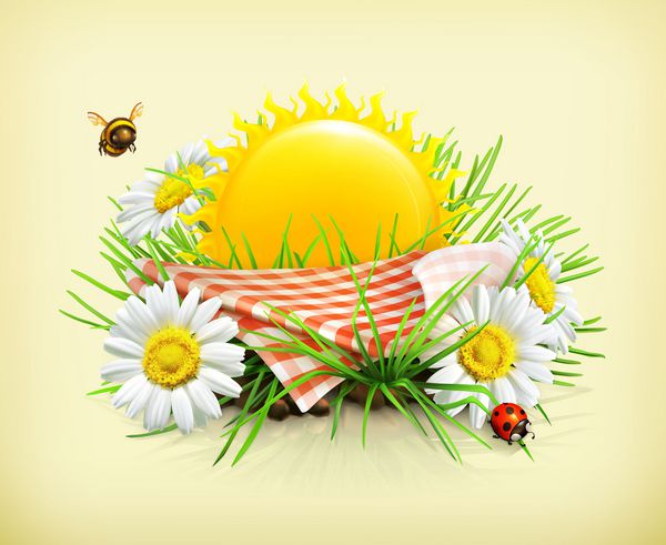 تابستان زمان پیک نیک طبیعت تفریح در فضای باز سفره و آفتاب پشت سر علف گل های بابونه کفشدوزک و زنبور عسل در باغ وکتور تابستان را نشان می دهد