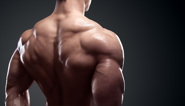 بدنساز در حال نشان دادن عضلات پشت و عضله دوسر مربی تناسب اندام شخصی مرد قوی ای که عضلاتش را خم می کند