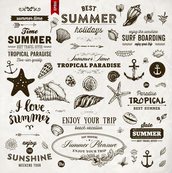 مجموعه ای از عناصر تابستانی برچسب های خوشنویسی صدف های دریایی گل ها لنگرها سبک طراحی شده با دست طراحی تایپوگرافی برای لوگو یا برچسب تعطیلات تابستانی بهشت استوایی بهترین تور مهمانی ساحلی سفر خوب