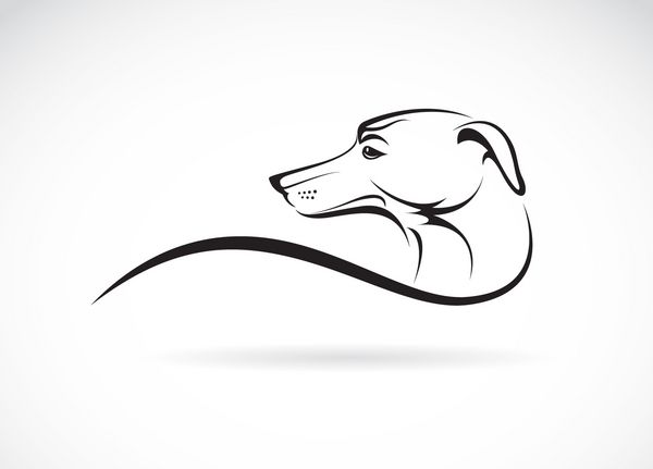 تصویر وکتور سگ در پس زمینه سفید
