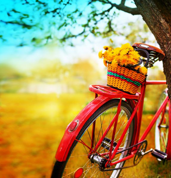 دوچرخه کلاسیک با گل در پس‌زمینه منظره تابستانی تصویر رنگ‌آمیزی