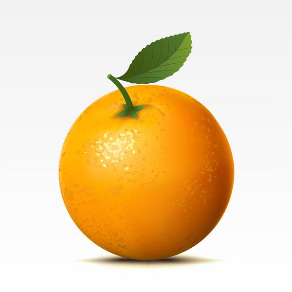 نارنجی در زمینه سفید