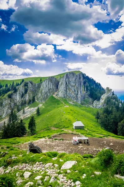 چشم انداز کوهستانی با گله گوسفند در کوههای کارپات رومانی