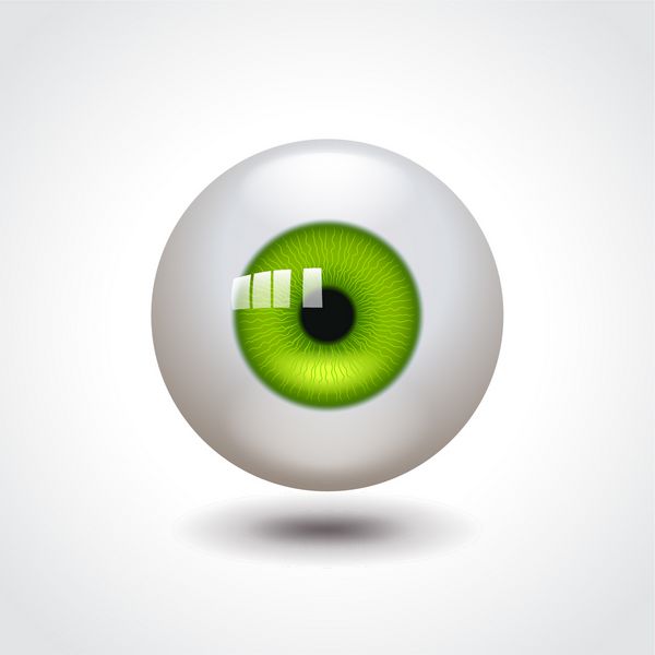 کره چشم با تصویر بردار واقع بینانه عکس زنبق سبز