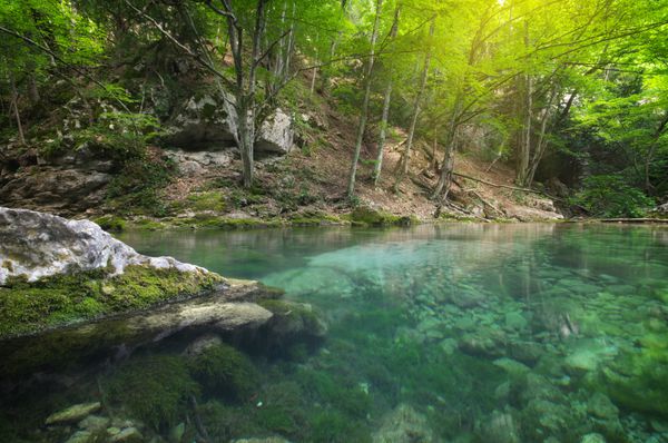 رودخانه در اعماق جنگل کوهستان ترکیب طبیعت