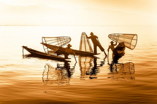 ماهیگیر برمه ای با قایق بامبو در حال صید ماهی به روش سنتی با تور دست ساز دریاچه اینله مقصد سفر میانمار برمه