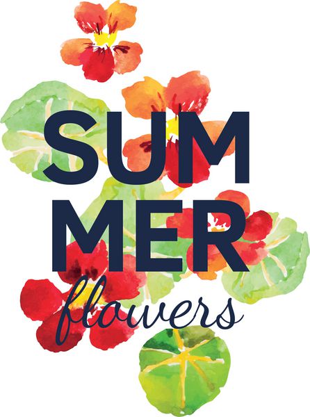 گلهای نارستوریوم قرمز با برگهای سبز در زمینه سفید آبرنگ با گلهای باغ تابستانی چاپ برای تی شرت با شعار گلهای تابستانی