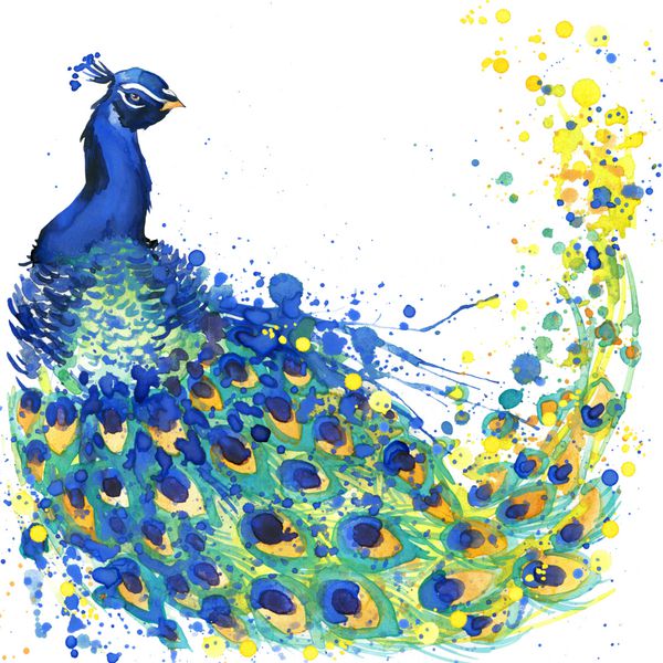 طاووس تصویر آبرنگ حیوانات مزرعه حیوانات خانگی خانگی