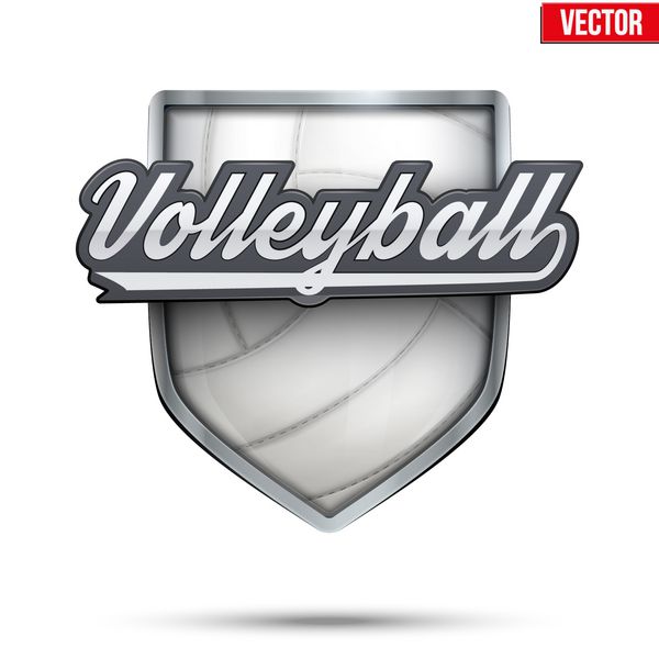 نماد حق بیمه برچسب والیبال نماد ورزش یا باشگاه تصویر برداری بردار بر روی زمینه سفید جدا شده است