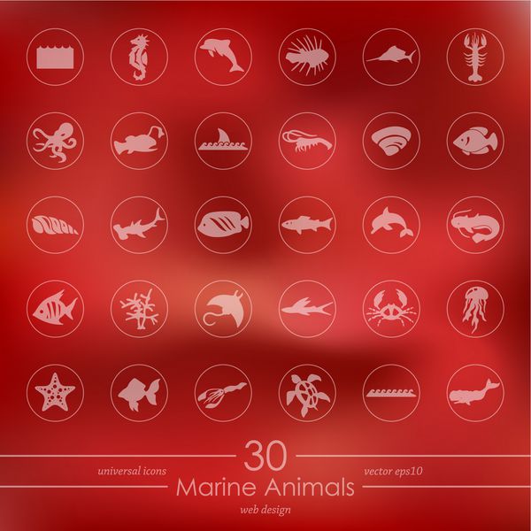نمادهای مدرن حیوانات دریایی برای رابط تلفن همراه در پس زمینه تار