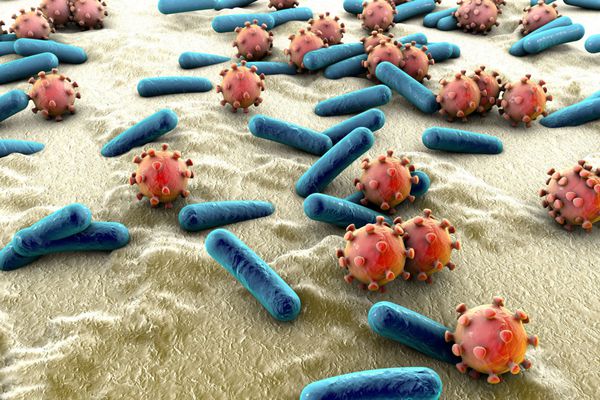 باکتری ها و ویروس ها روی پوست غشای مخاطی یا روده مدل مرس HIV آنفولانزا اشریشیا کلی سالمونلا کلبسیلا لژیونلا مایکوباکتریوم توبرکلوزیس مدل میکروب ها