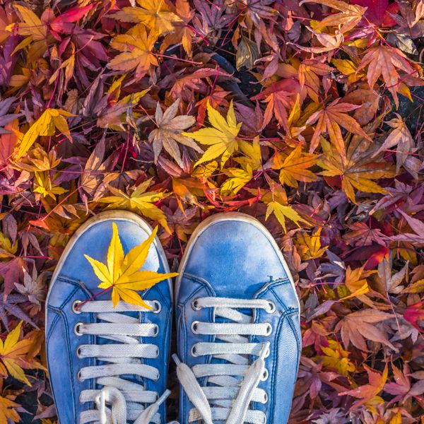 فصل پاییز در کفش های سبک هیپستر