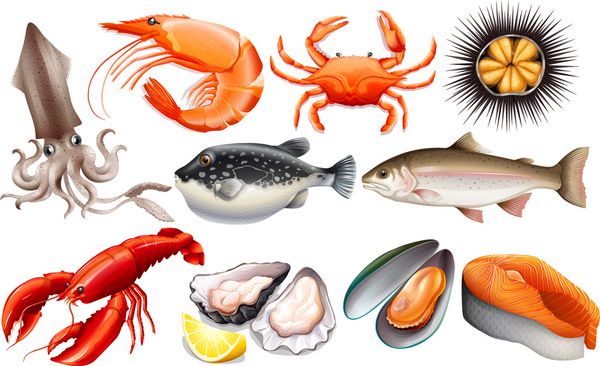 انواع مختلف غذاهای دریایی تازه