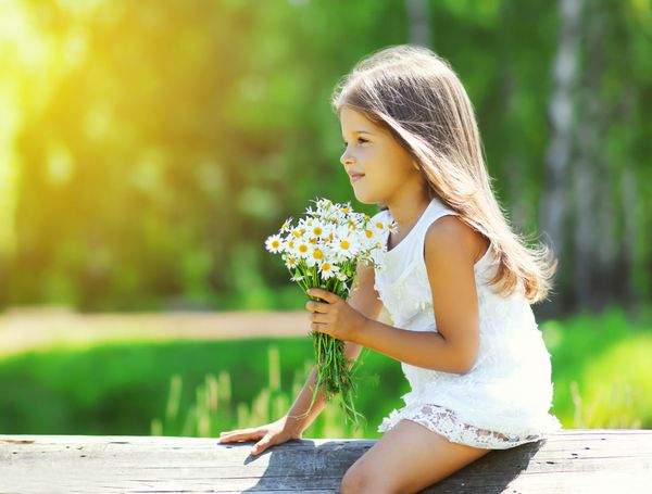 پرتره دختر کوچک ناز با دسته گل بابونه در روز آفتابی تابستان