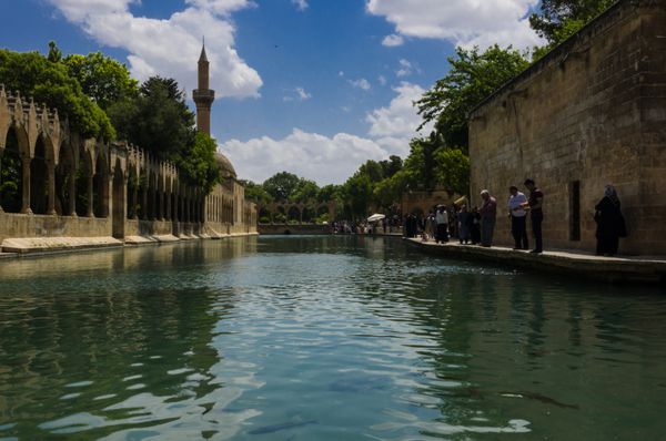 اورفا ترکیه - 8 ژوئن 2015 دریاچه مقدس مقصد سفر مقدس دریاچه ماهی و مسجد حلیل الرحمن است استخر در محلی است که نمرود می خواست ابراهیم را به عنوان قربانی بسوزاند