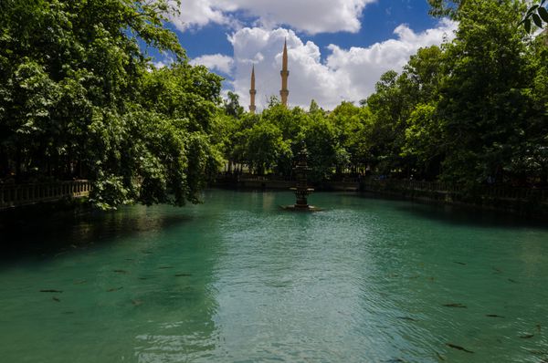 اورفا ترکیه - 8 ژوئن 2015 دریاچه مقدس مقصد سفر مقدس دریاچه ماهی و مسجد حلیل الرحمن است استخر در محلی است که نمرود می خواست ابراهیم را به عنوان قربانی بسوزاند
