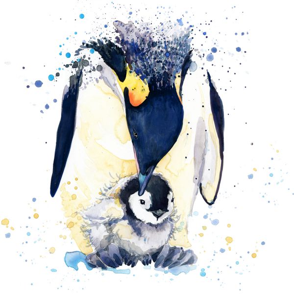 تصویر پنگوئن برای چاپ بر روی تی شرت