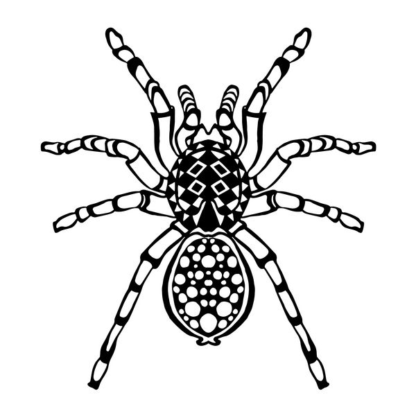 عنکبوت تلطیف شده zentangle حیوانات ابله سیاه و سفید کشیده شده با دست وکتور با الگوهای قومی طراحی تاتو آفریقایی هندی توتم طرحی برای آواتار پوستر چاپ یا تی شرت