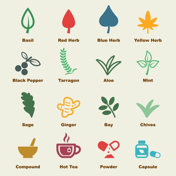 عناصر گیاهی نمادهای اینفوگرافیک وکتور
