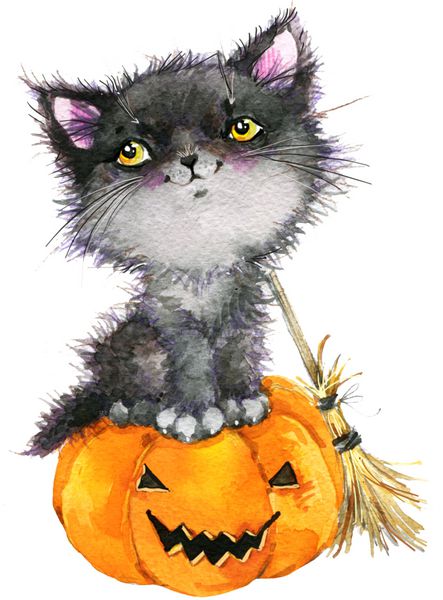 تعطیلات هالووین گربه کوچولو جادوگر و کدو تنبل تصویر پس زمینه آبرنگ تعطیلات هالووین