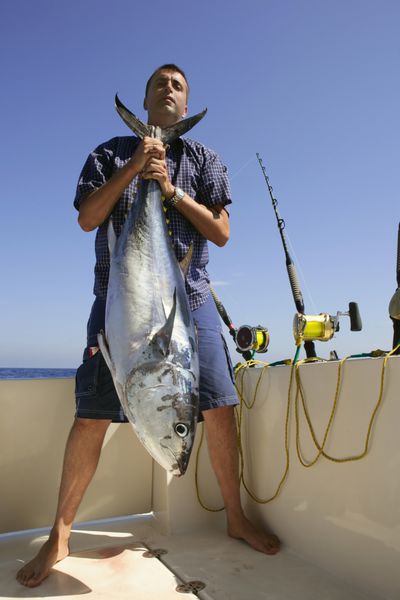 ماهی گیر ماهیگیری ماهی تن باله آبی بازی بزرگ در آب شور دریای مدیترانه