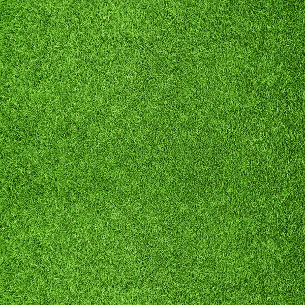 بافت چمن سبز زیبا از زمین گلف