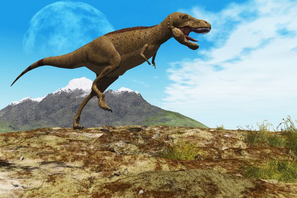 زمین پایکوبی - یک دایناسور تیرانوزاروس رکس در قلمرو خود قدم می زند